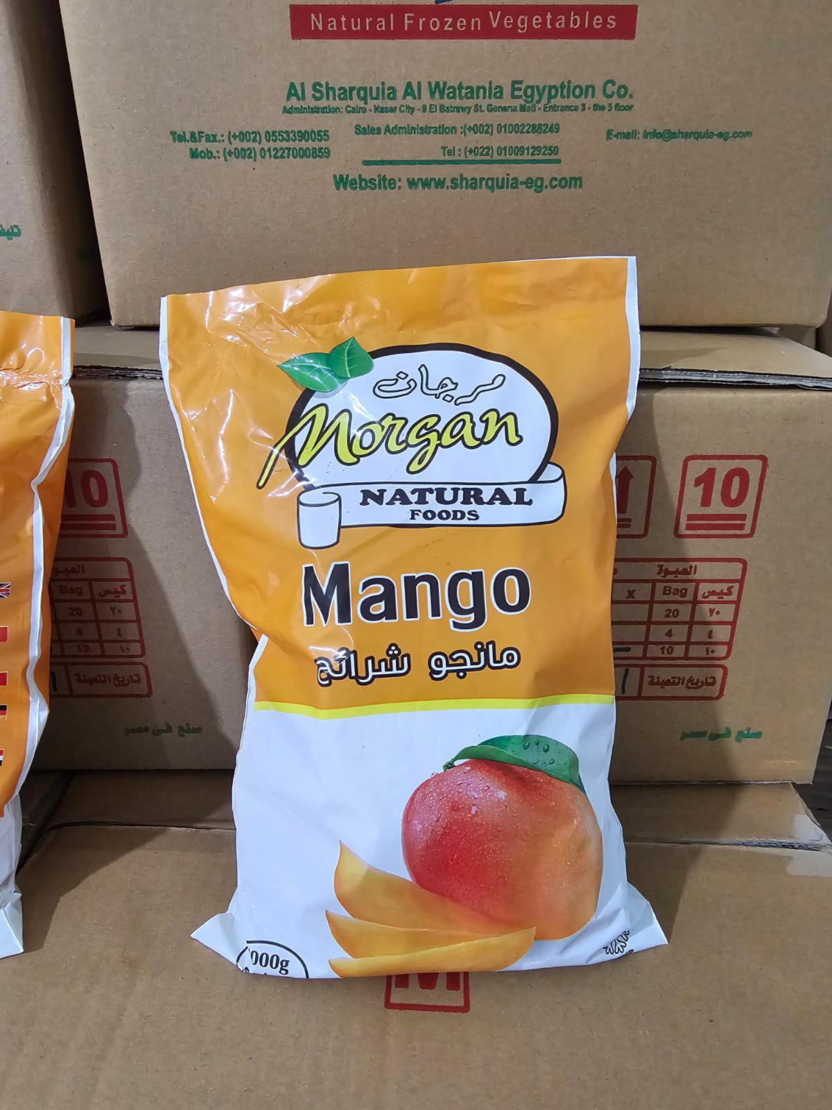 صورة من المعرض